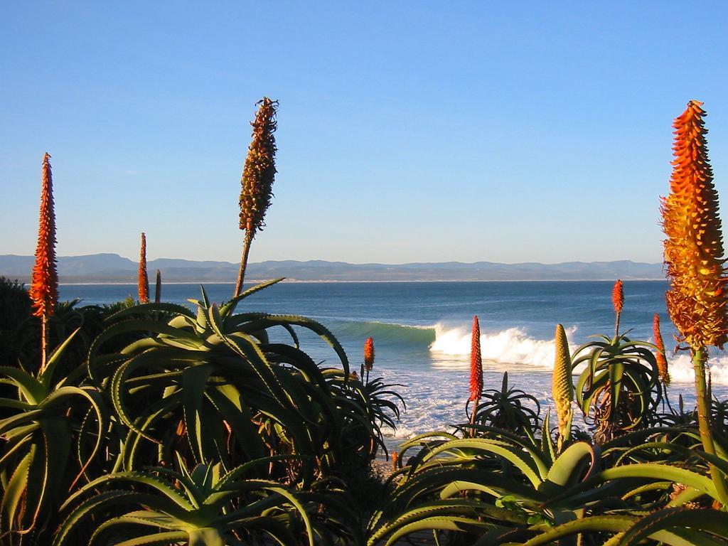 Beach House Jeffreys Bay Exterior foto