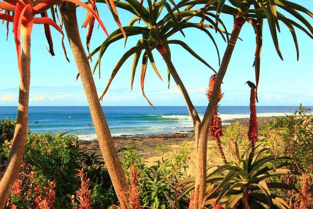 Beach House Jeffreys Bay Exterior foto